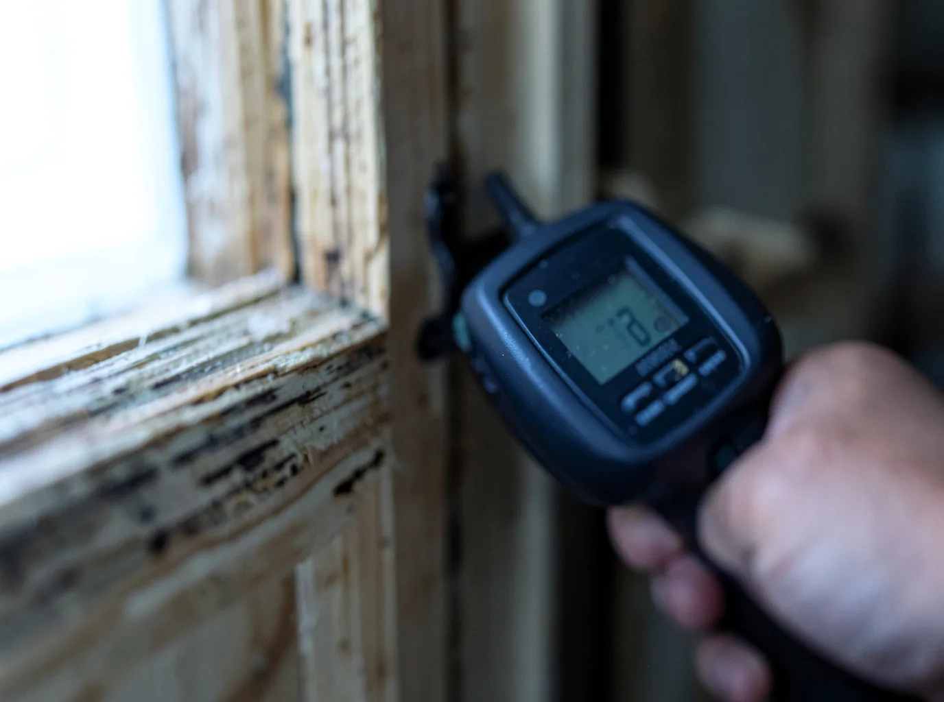 Moisture Inspection And Documentation in Davey, NE